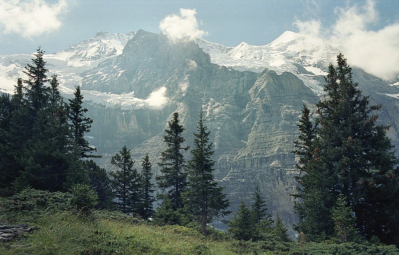simg391