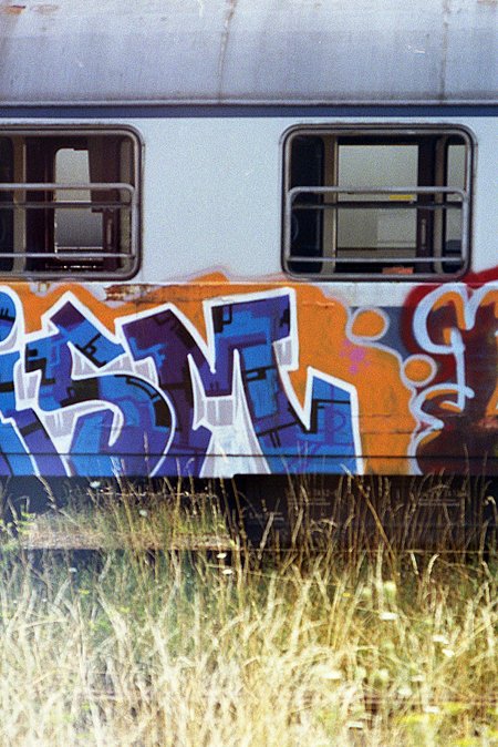 simg794