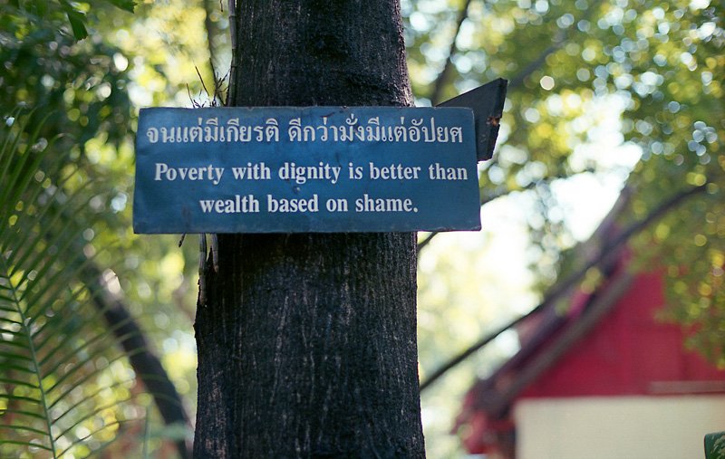 ythai1516