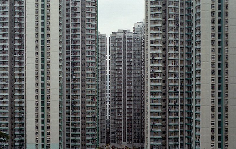 yhong1995