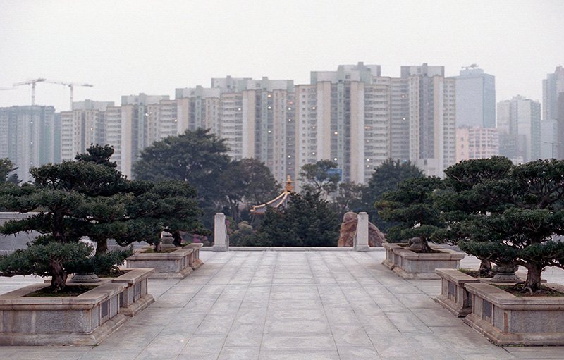 yhong2329