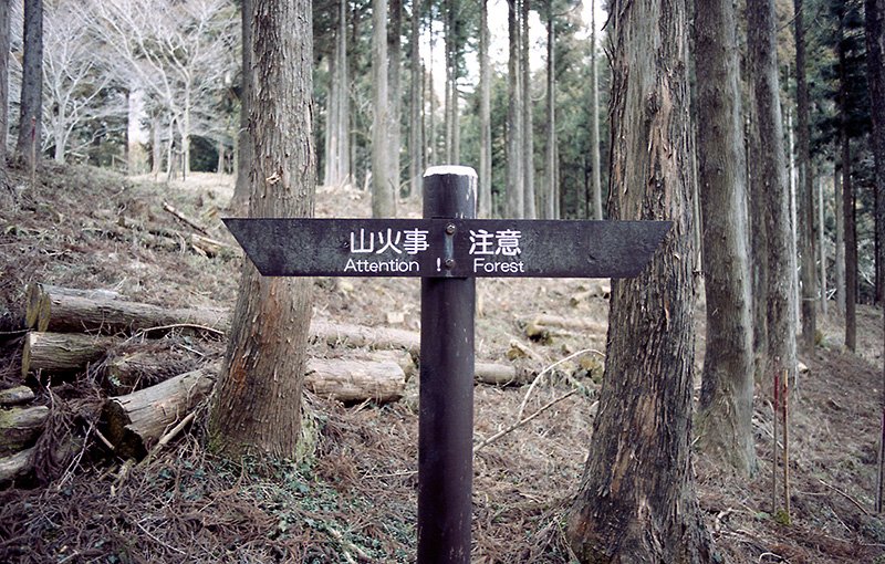 yhako2915_0