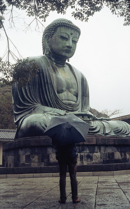 ykama3981